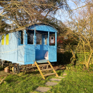 shepherds-hut-ashdown-forest